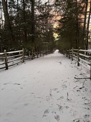 Snow Sunset